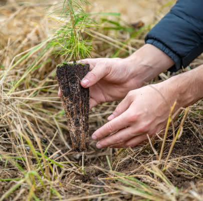Adhésion aux systèmes environnementaux