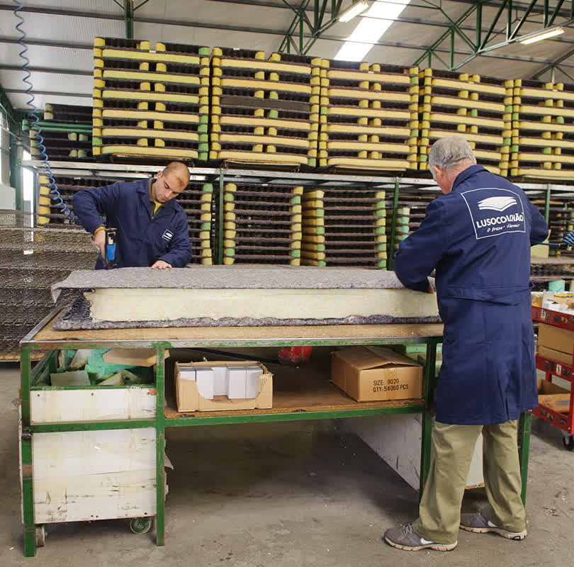 Formação dos colaboradores